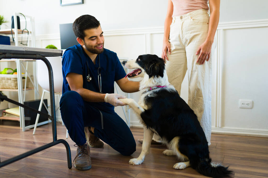 Vet Eaton How To Choose The Right Veterinary Clinic For Your Pet Vet Eaton How To Choose The Right Veterinary Clinic For Your Pet
